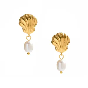 Clam Pearl Studs