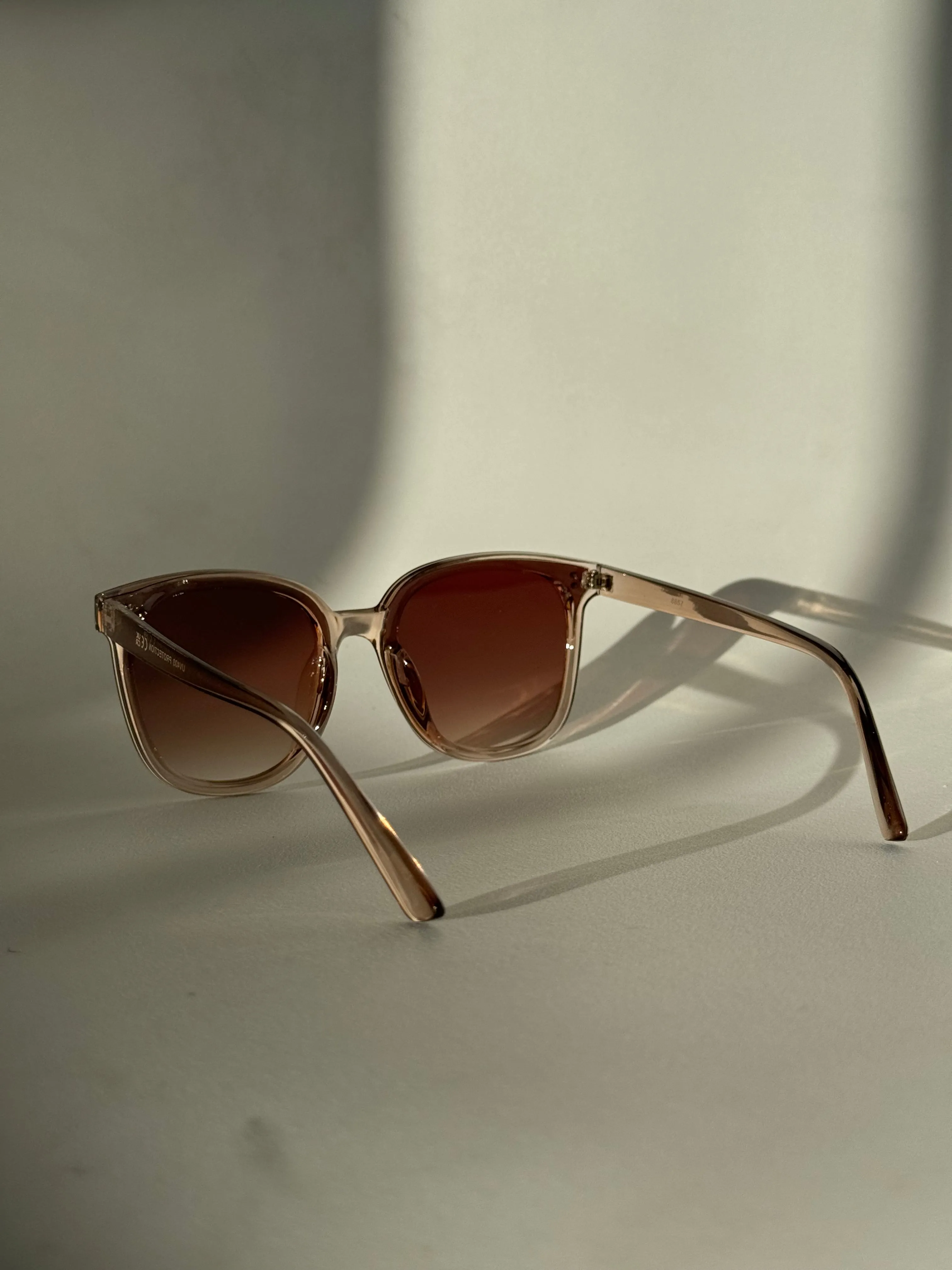 Dave Tri Stud Classic Sunglasses In Coffee