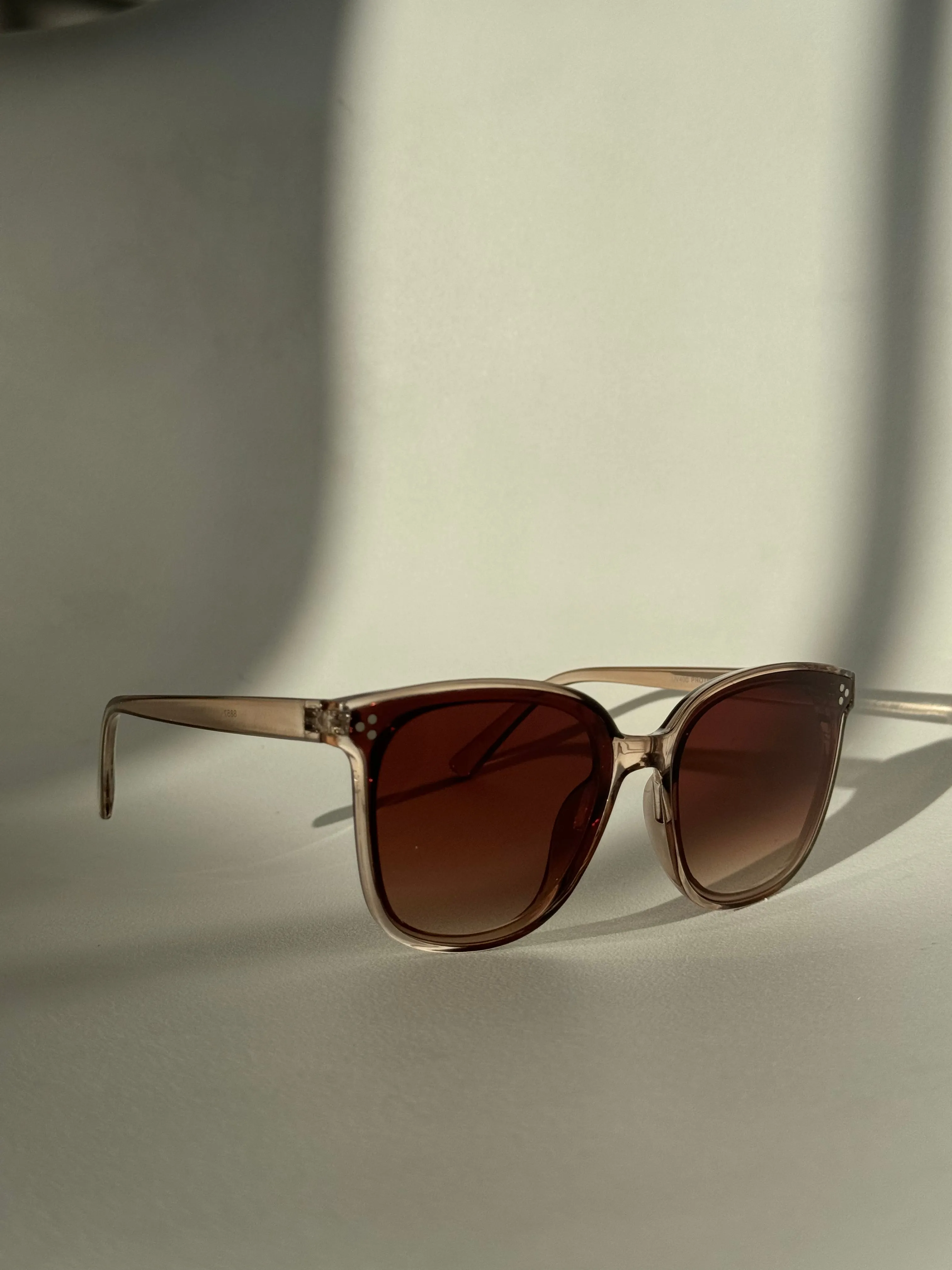 Dave Tri Stud Classic Sunglasses In Coffee