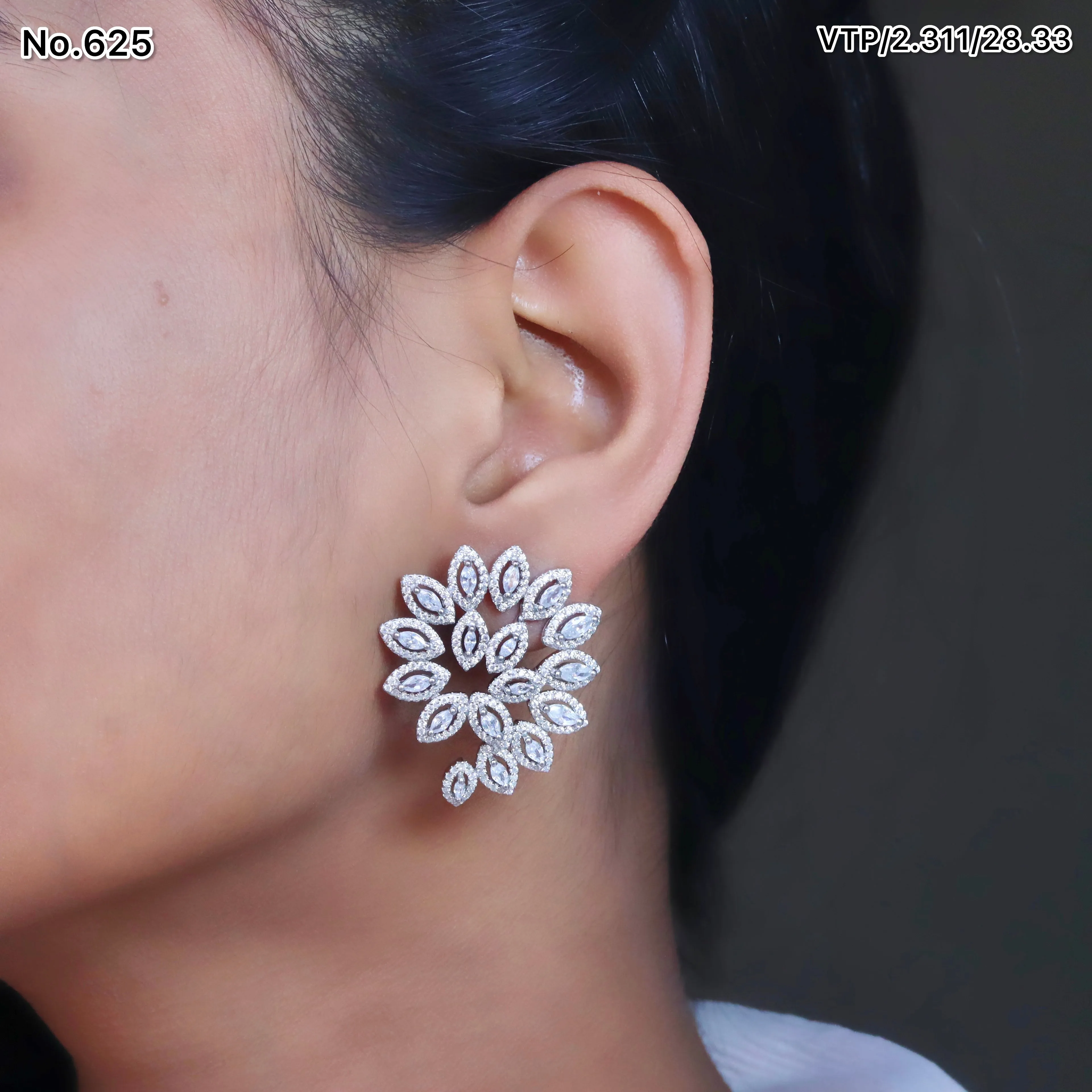 Earrings 73