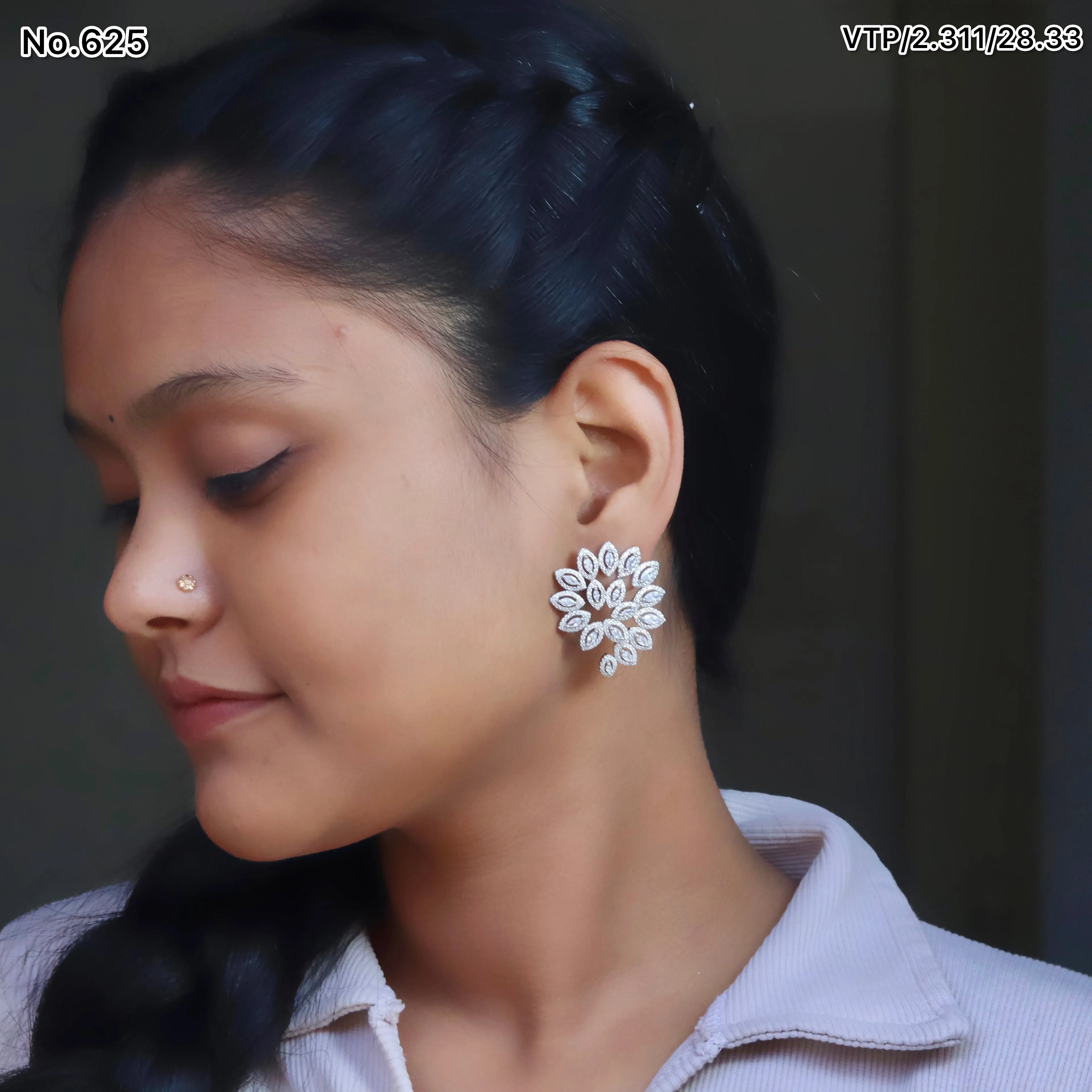 Earrings 73
