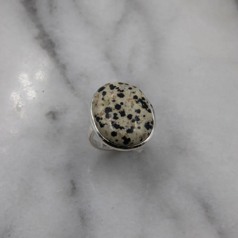 Olivia, Dalmation Jasper