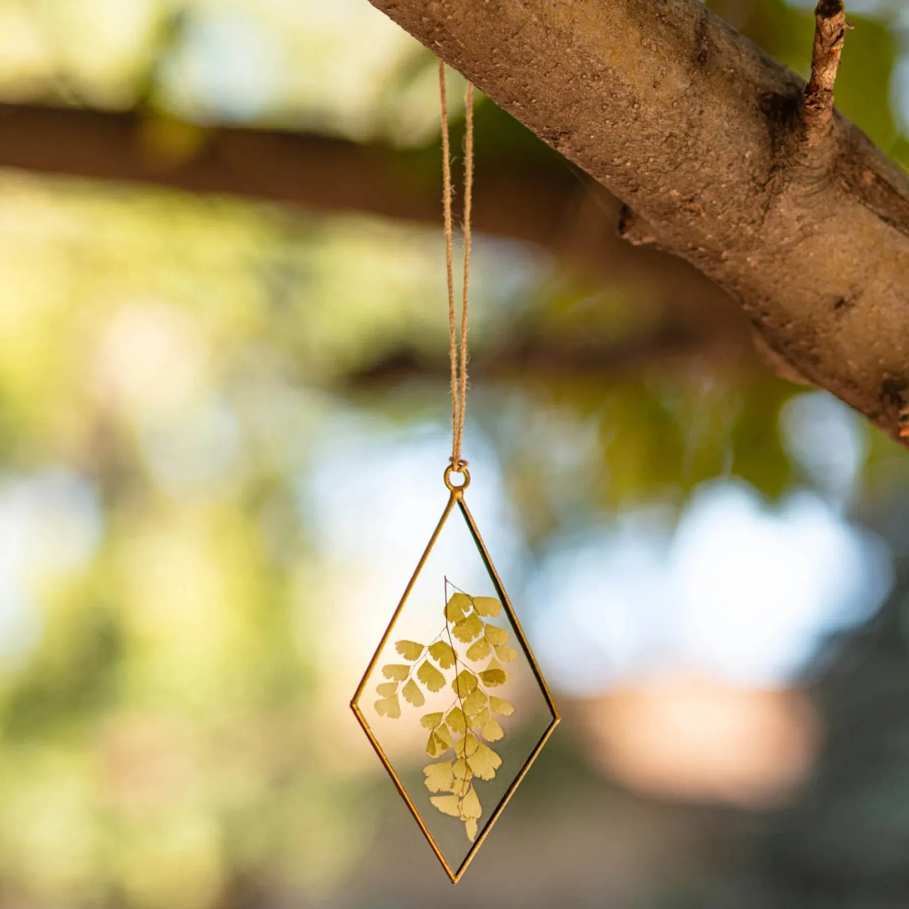 Rosy Rings Fern Diamond Pressed Floral Suncatcher