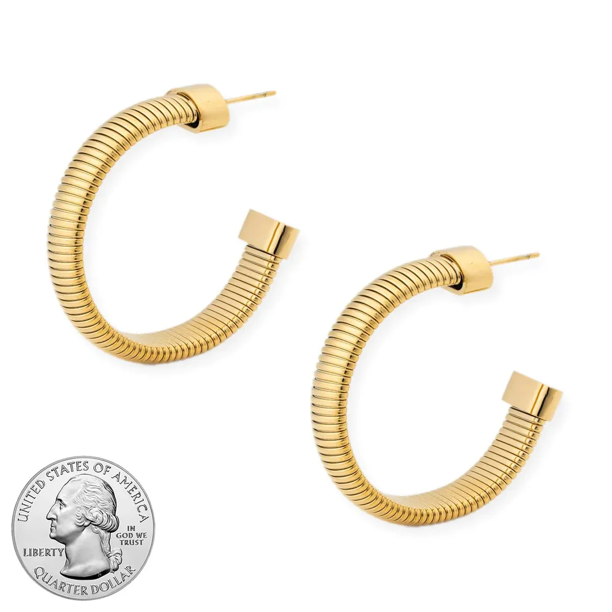 She's Timeless Hoops