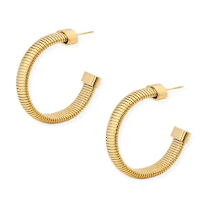She's Timeless Hoops