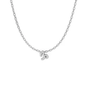 Silver Capricorn Zodiac Necklace