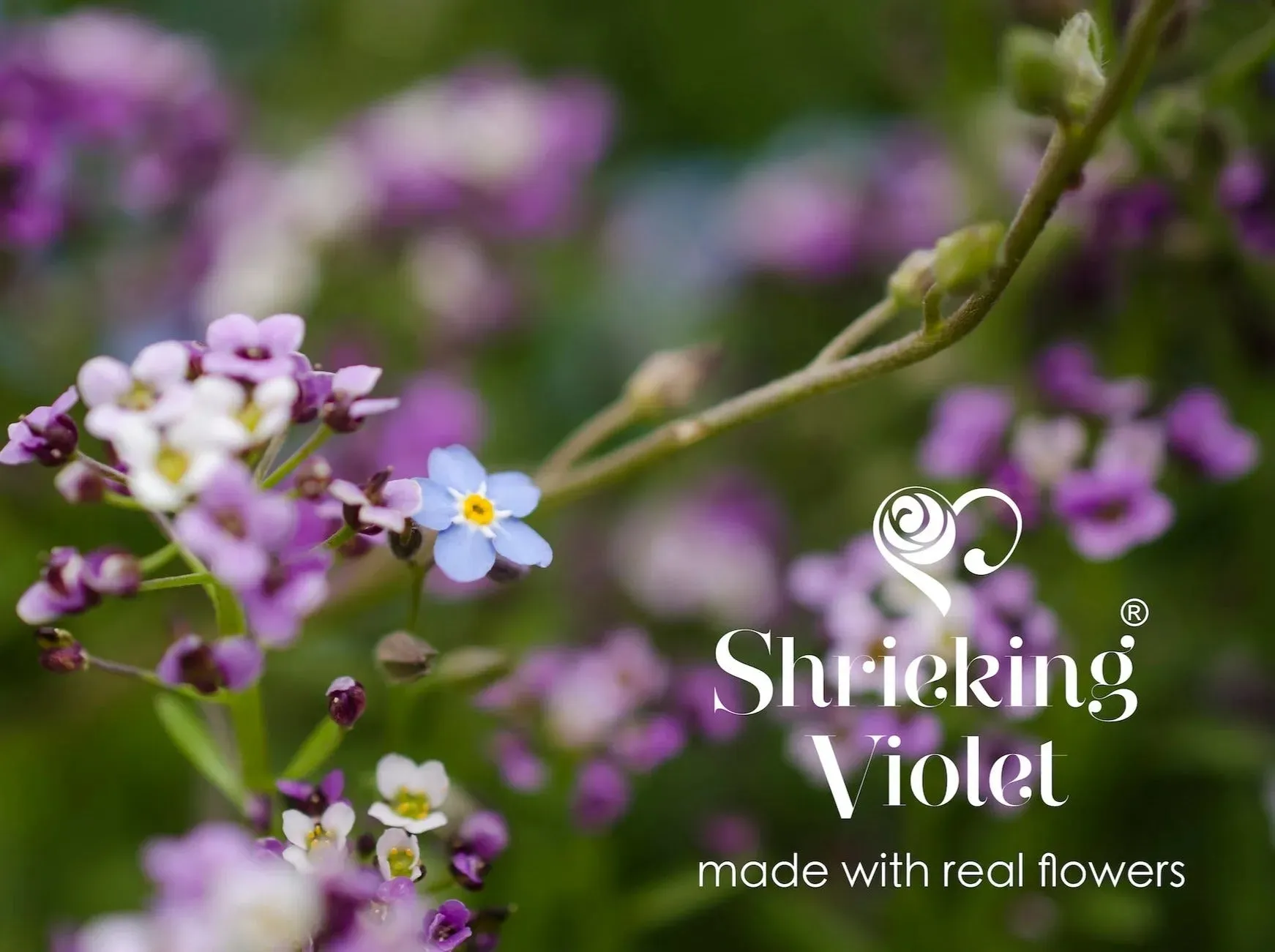 Sterling Silver Swirl Pendant Necklace with tiny Purple Flowers by Shrieking Violet®