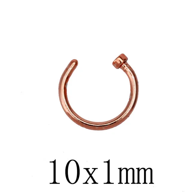 Titanium Nose Rings Clip
